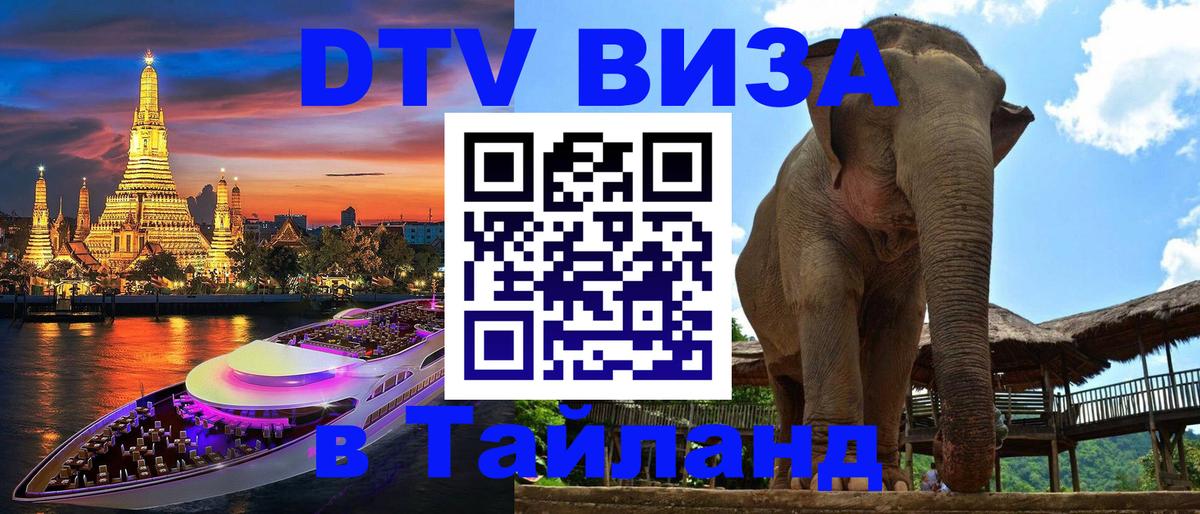 Оформление DTV визы под ключ: стоимость и тарифы, только загранпаспорт - 18.11.2025 